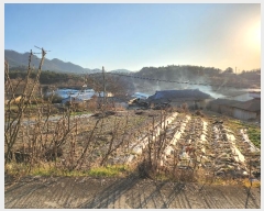  2024Ÿ��124011 ��� ��õ�� ��ȣ�� ���ϸ� ��93      ����(�Ӿ�)���