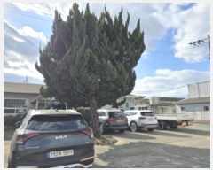  2024Ÿ126888   ̸ õ 193      