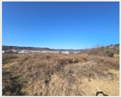  2024Ÿ127324  õ Ӱ õ 265      ()