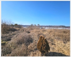  2024Ÿ127324  õ Ӱ õ 265      ()