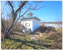  2024Ÿ127324  õ Ӱ õ 265      ()