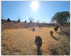  2024Ÿ127324  õ Ӱ õ 265      ()