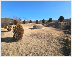  2024Ÿ127324  õ Ӱ õ 265      ()