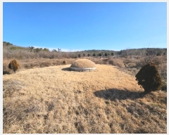  2024Ÿ127324  õ Ӱ õ 265      ()