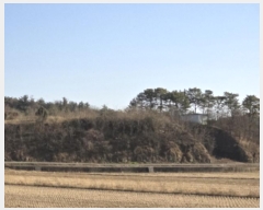  2024Ÿ127324  õ Ӱ õ 265      ()