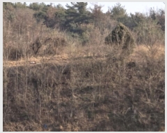  2024Ÿ127324  õ Ӱ õ 265      ()