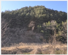  2024Ÿ127683  õ Ͼȸ  113      (Ӿ)