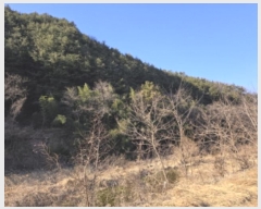  2024Ÿ127683  õ Ͼȸ  113      (Ӿ)