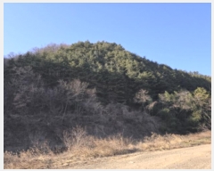  2024Ÿ127683  õ Ͼȸ  113      (Ӿ)