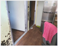  2024Ÿ127782  õ  縮 123      (1)