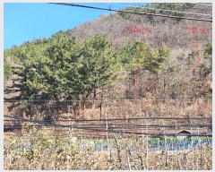  2024Ÿ127782  õ  縮 123      (1)