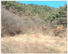  2024Ÿ129412  õ ų ġ긮 9      (1)