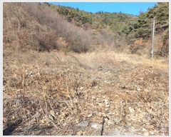  2024Ÿ129412  õ ų ġ긮 9      (1)