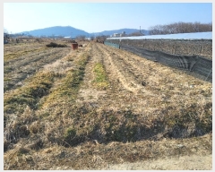  2024Ÿ��130078 ��� ��õ�� ���� 719-20       ����(��)���