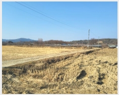  2024Ÿ��130078 ��� ��õ�� ���� 719-20       ����(��)���