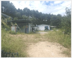  2024Ÿ1135  ȭ  鸮 73      (1)