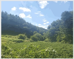  2024Ÿ1135  ȭ  鸮 73      (1)