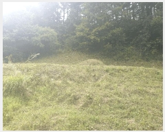  2024Ÿ1135  ȭ  鸮 73      (1)