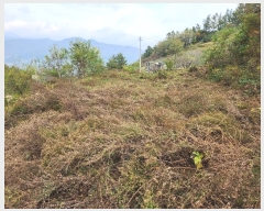  2024Ÿ1722  ֽ  λ긮 465-5      ()