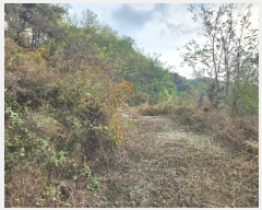  2024Ÿ1722  ֽ  λ긮 465-5      ()