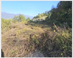  2024Ÿ1722  ֽ  λ긮 465-5      ()