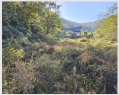  2024Ÿ1722  ֽ  λ긮 465-5      ()