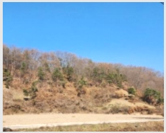  2024Ÿ1845  ȵ ĸ  22-22      (Ӿ)