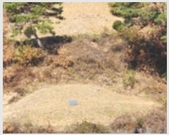  2024Ÿ1845  ȵ ĸ  22-22      (Ӿ)