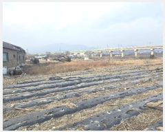  2024Ÿ��2022 ��� ���ֽ� ǳ���� ���θ� 277      ����(��)���