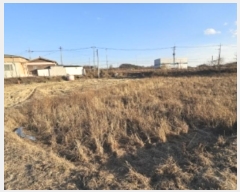  2024Ÿ��2022 ��� ���ֽ� ǳ���� ���θ� 277      ����(��)���