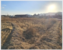  2024Ÿ��2022 ��� ���ֽ� ǳ���� ���θ� 277      ����(��)���