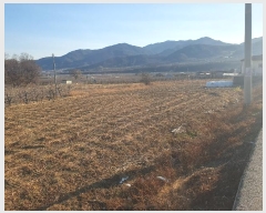  2024Ÿ��2053 ��� ���ֽ� ǳ���� â���� 190-4      ����(��)���