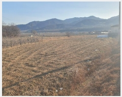  2024Ÿ��2053 ��� ���ֽ� ǳ���� â���� 190-4      ����(��)���