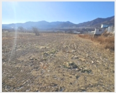  2024Ÿ��2053 ��� ���ֽ� ǳ���� â���� 190-4      ����(��)���