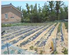  2024Ÿ��101677 ��� �ȵ��� ǳõ�� ���縮 768      ���ð��