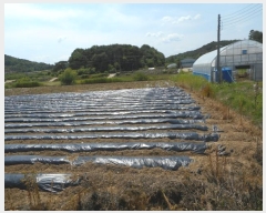  2024Ÿ��101677 ��� �ȵ��� ǳõ�� ���縮 768      ���ð��