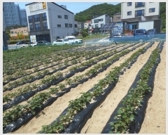  2024Ÿ��101677 ��� �ȵ��� ǳõ�� ���縮 768      ���ð��