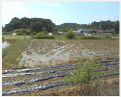  2024Ÿ��101677 ��� �ȵ��� ǳõ�� ���縮 768      ���ð��