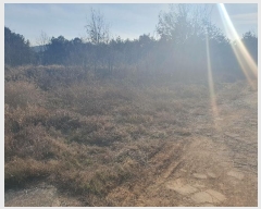  2024Ÿ104058  ȵ ǳõ  990-1      ,â