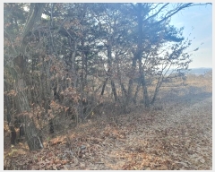  2024Ÿ104058  ȵ ǳõ  990-1      ,â