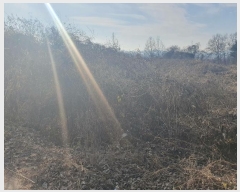  2024Ÿ104058  ȵ ǳõ  990-1      ,â