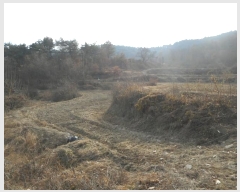  2024Ÿ��104218  ����