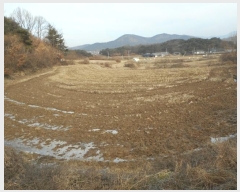  2024Ÿ��104218  ����