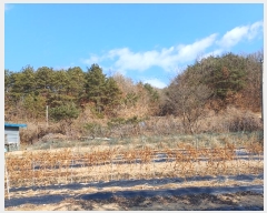  2024Ÿ104386  ȵ ͷ ϸ 160-1      (Ӿ)