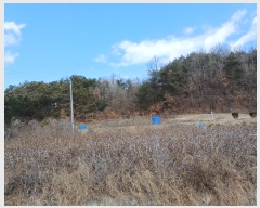  2024Ÿ104386  ȵ ͷ ϸ 160-1      (Ӿ)