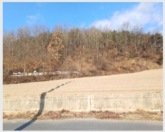  2024Ÿ104386  ȵ ͷ ϸ 160-1      (Ӿ)