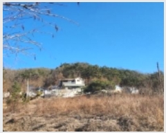  2024Ÿ104386  ȵ ͷ ϸ 160-1      (Ӿ)