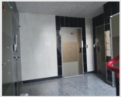  2024Ÿ104447  ȵ ǳ Ű 1115-2      ٰð