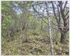  2024Ÿ1470  ȭ  긮 343      (1)