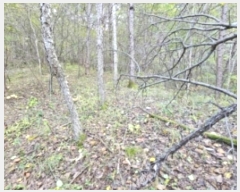  2024Ÿ1470  ȭ  긮 343      (1)